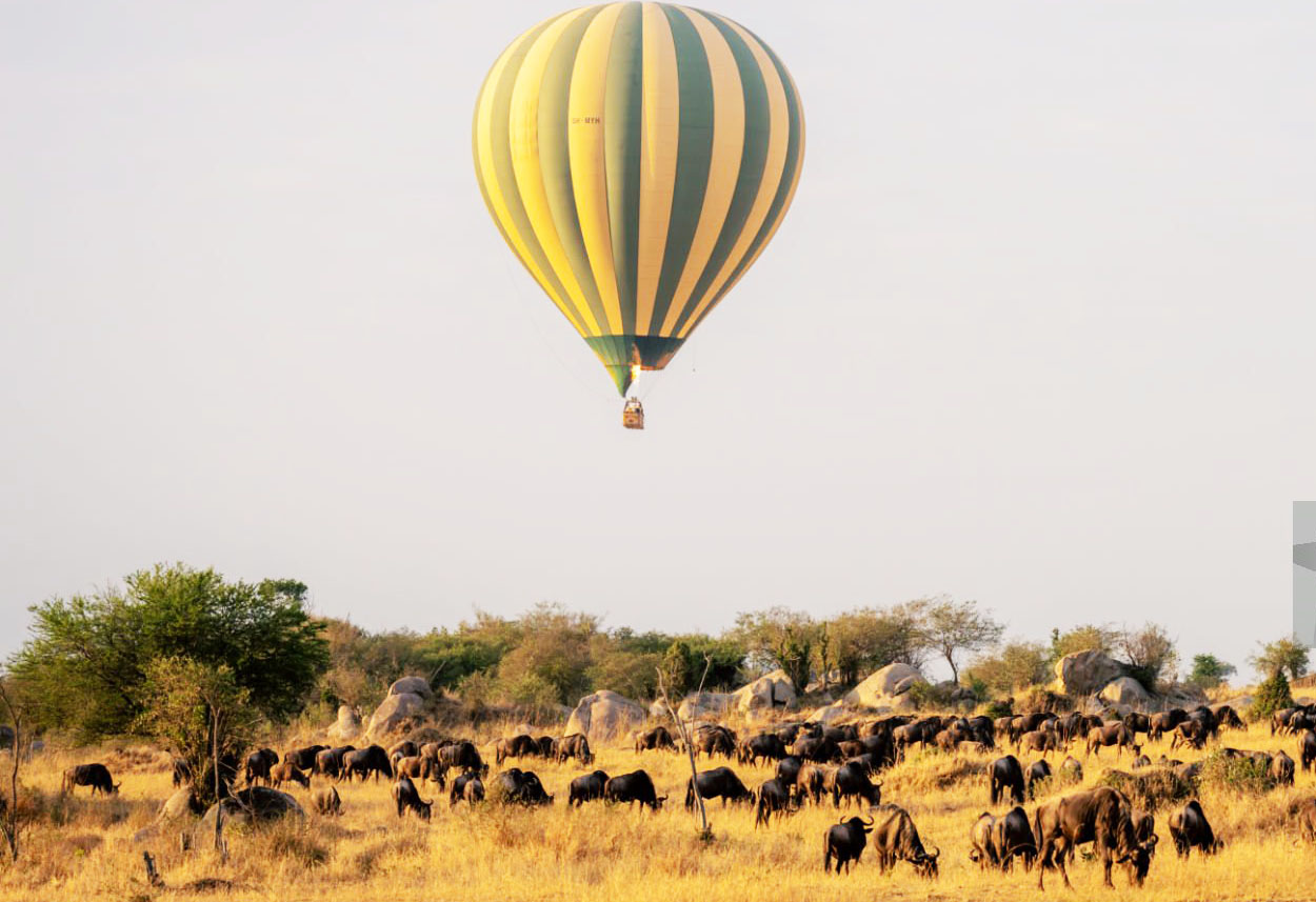 selengeti balloon safari